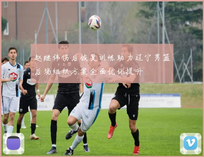 赵继伟伤后恢复训练助力辽宁男篮后场组织方案全面优化提升