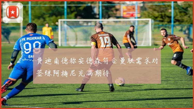 费迪南德称安德森符合曼联需求对签琼阿梅尼充满期待